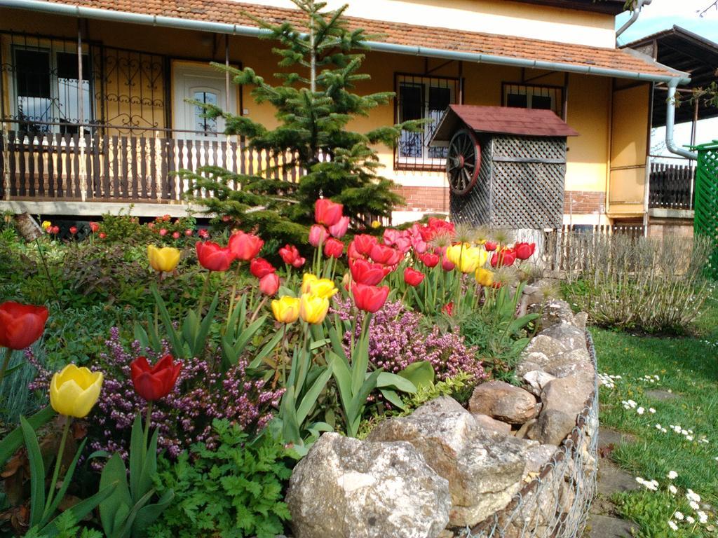 Kutvoelgy Vendeghaz Otel Vác Dış mekan fotoğraf